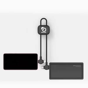 Câble court 18 cm à charge ultra-rapide 60W avec transfert de données personnalisable