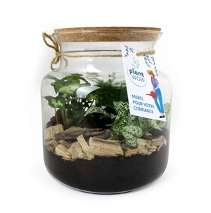 Terrarium relaxant personnalisable