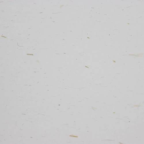 image du produit Boîtes aimantées ZEROTREE® en papier paille - plusieurs dimensions au choix