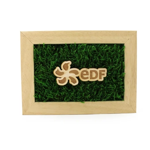 image du produit Cadre en bois avec mousse naturelle - Forme Rectangle