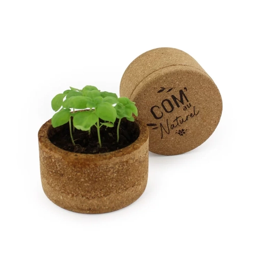 image du produit Kit de plantation avec pot en liège