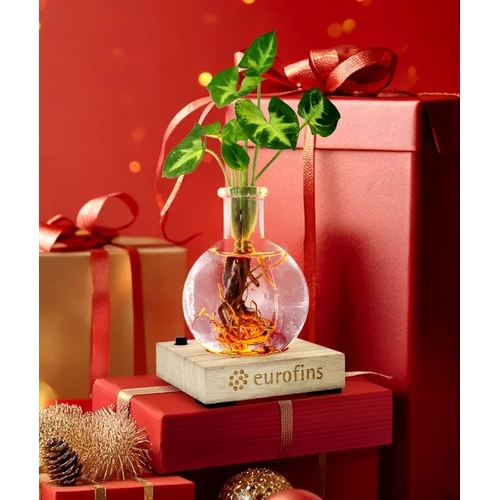 image du produit Plante vase avec socle lumineux