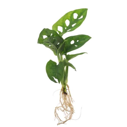 image du produit Plante vase avec socle lumineux